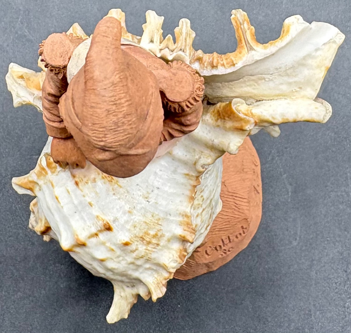 Terracotta And Shell Subject From The 1900s/20s By Collot Se-photo-3