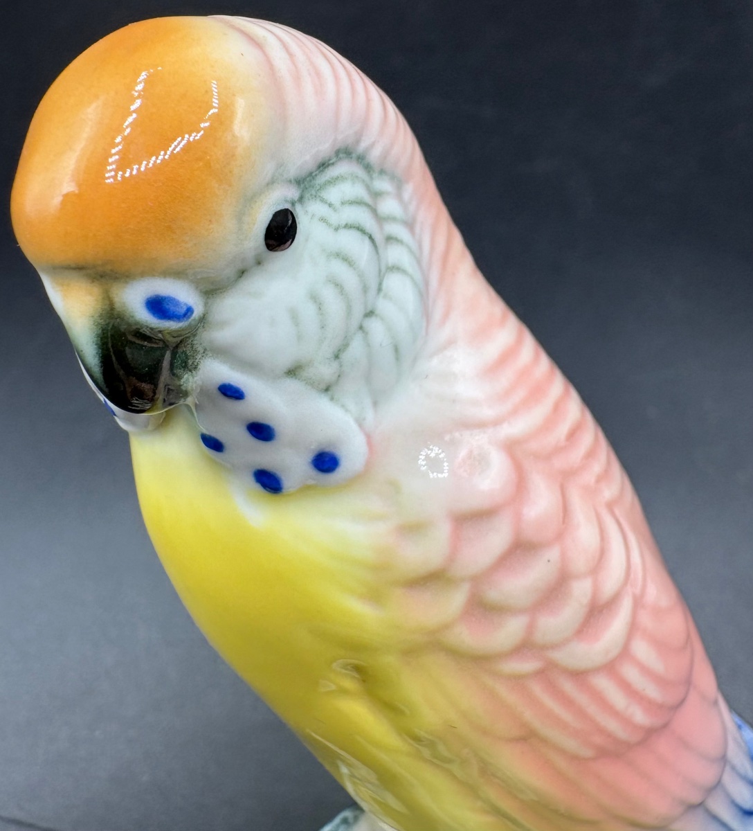 Enameled Porcelain Parakeet From The 1920s By Karl Ens Saxe-photo-3