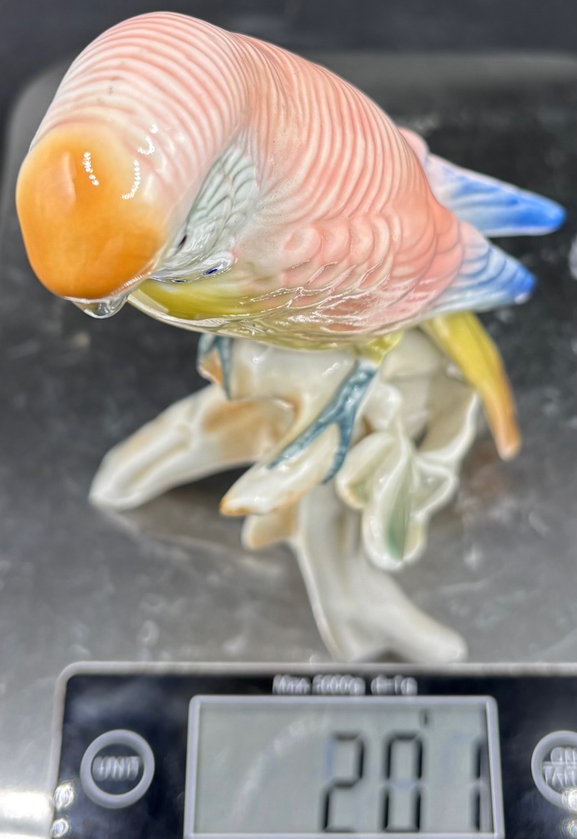 Enameled Porcelain Parakeet From The 1920s By Karl Ens Saxe-photo-8
