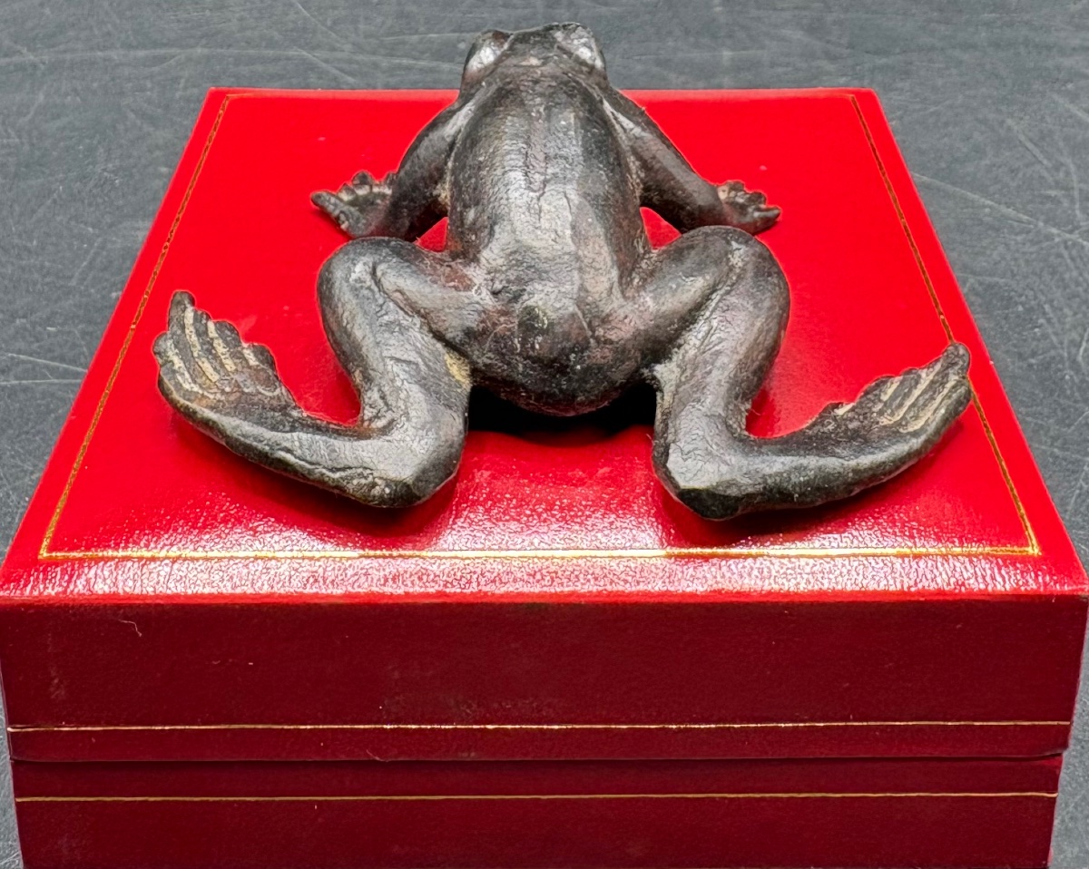 Small Bronze Frog With Antique Finish From The 1880s, French  -photo-3