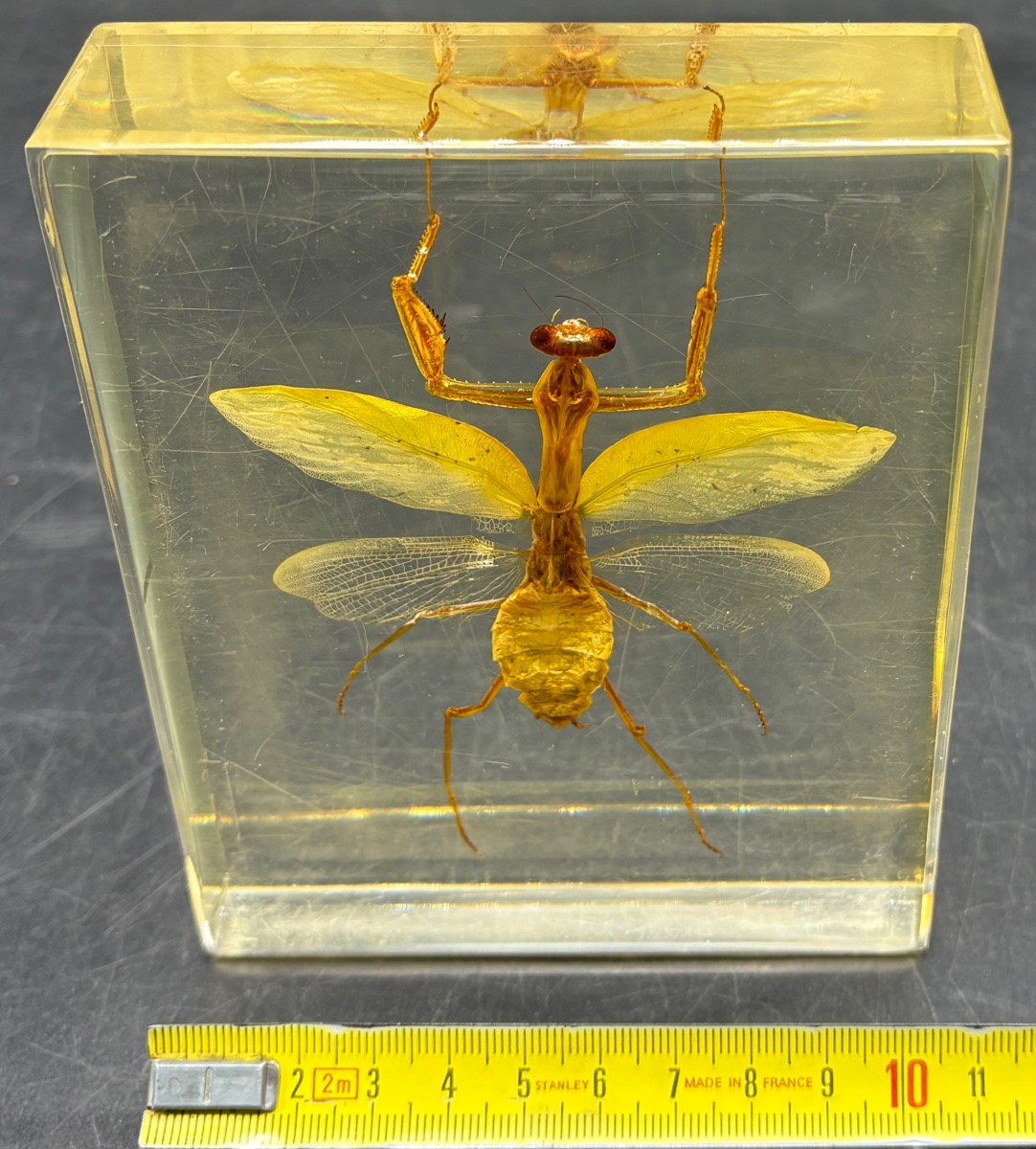 Paperweight With An Insect Embedded In Resin From The 1960s, French -photo-5