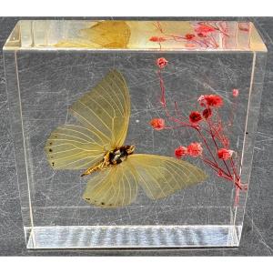 French Actuglass Paper Press From The 1960s/70s 