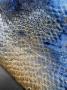 1789064-alb-6a495f071b0df.jpg