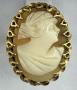 1812707-alb-6a8f6665a16ec.jpg