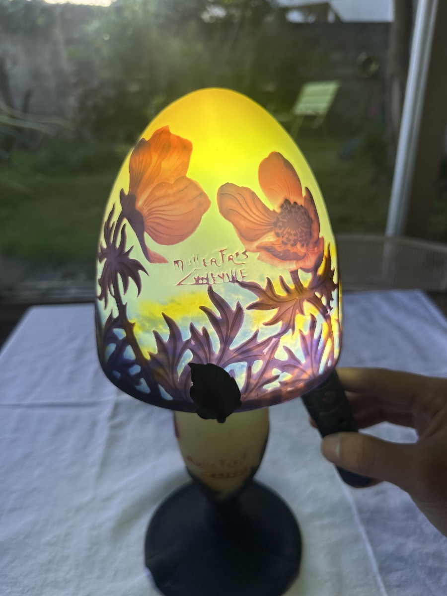     Muller Frères Lunéville - Lamp With Anemone Design-photo-1