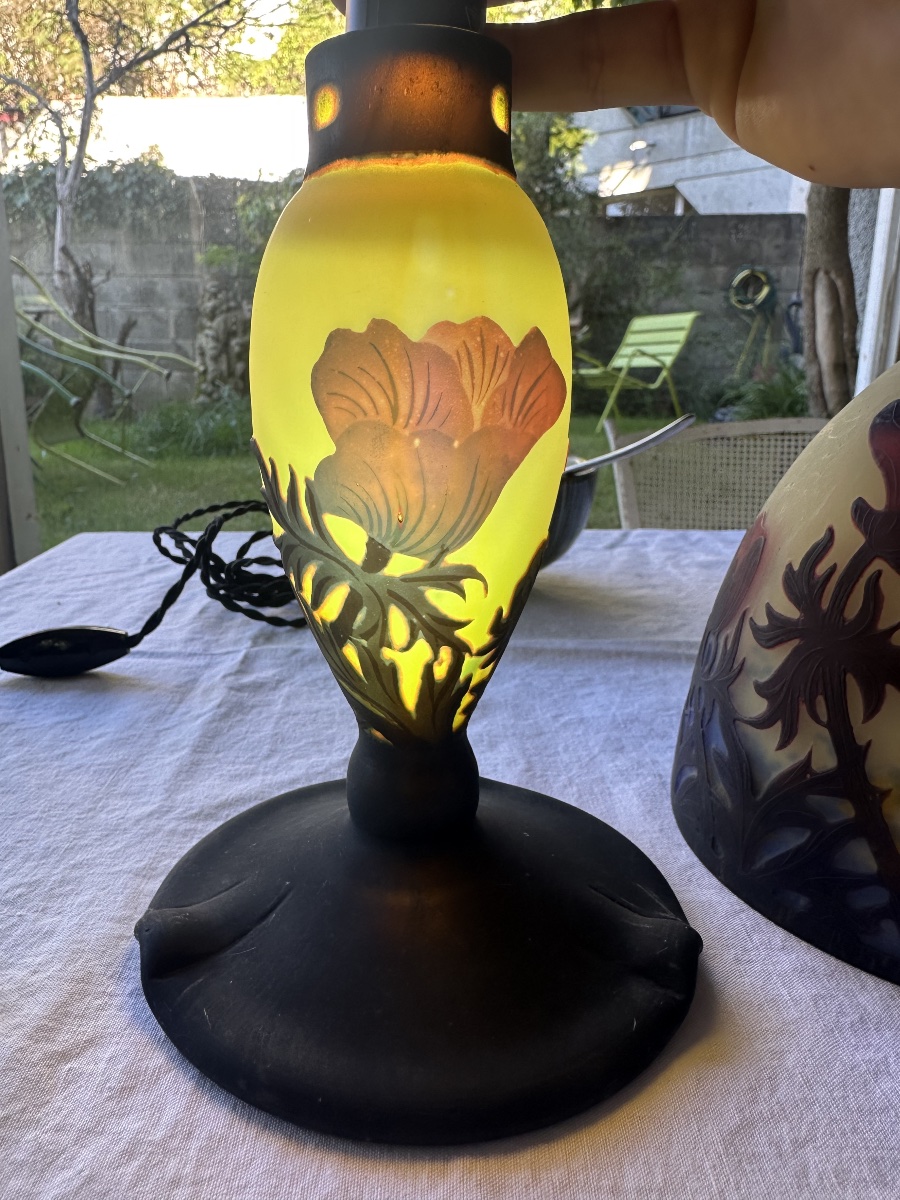    Muller Frères Lunéville - Lamp With Anemone Design-photo-7