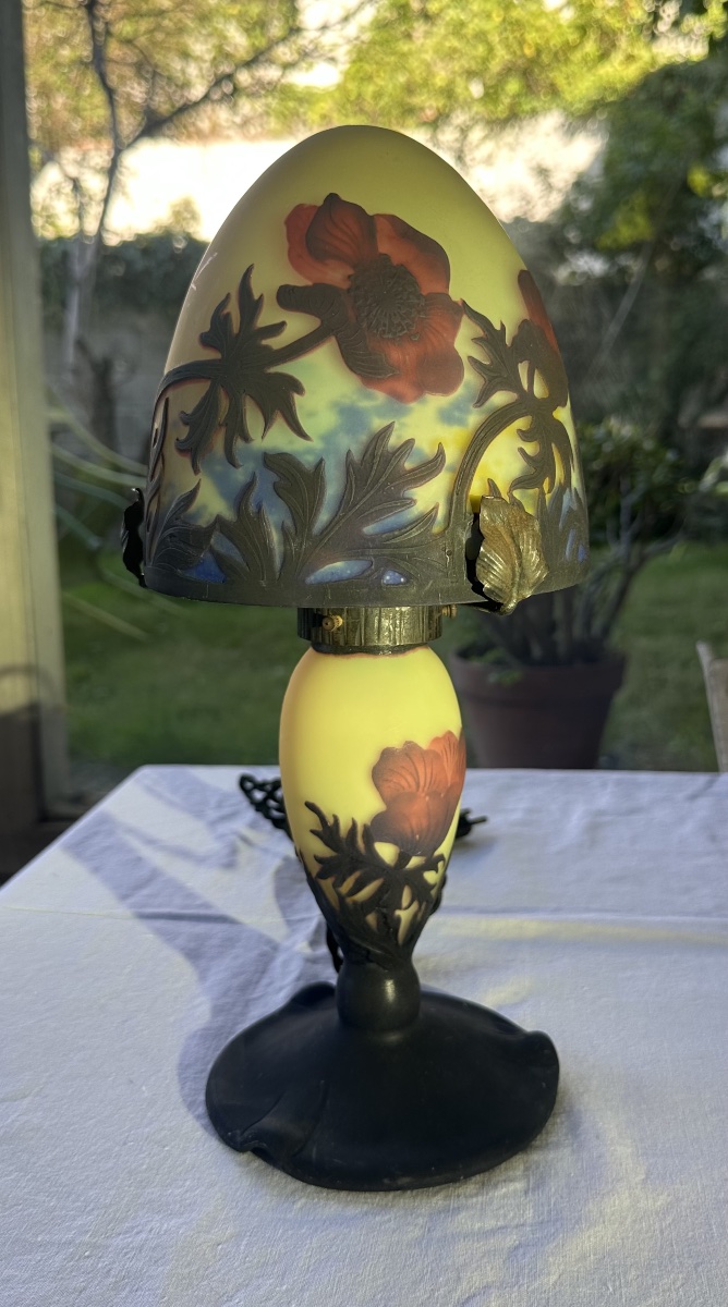    Muller Frères Lunéville - Lamp With Anemone Design
