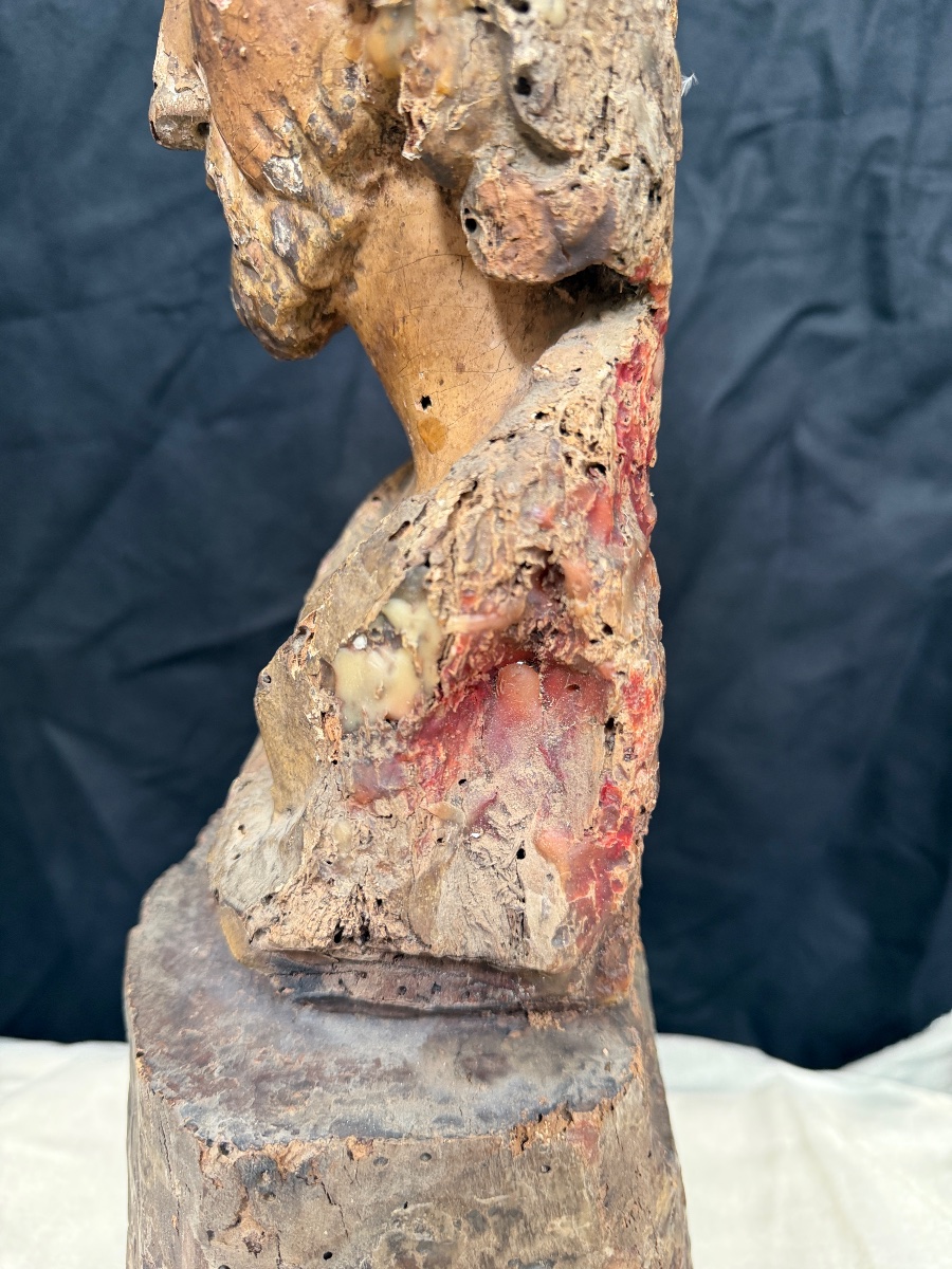 Buste du Christ en bois sculpté et polychromé France, XVIIe siècle-photo-1