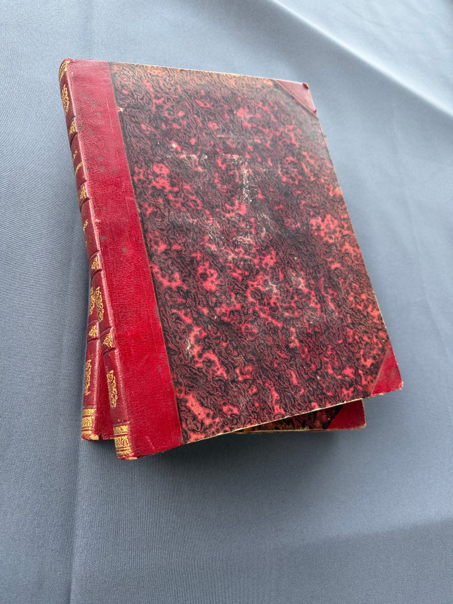 Alpes Pittoresques (description de la Suisse, du tyrol et de la savoie (2 volumes)-photo-2