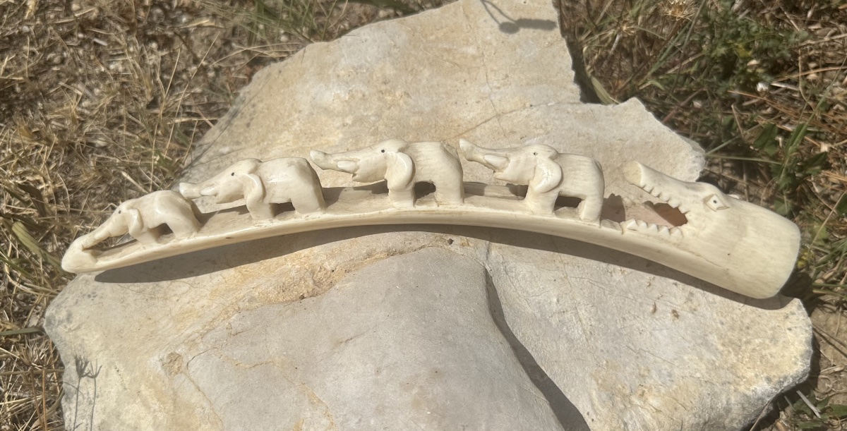 Carved African Elephant Tusk – Central Africa, Circa 1920–1930 – 33 Cm-photo-3