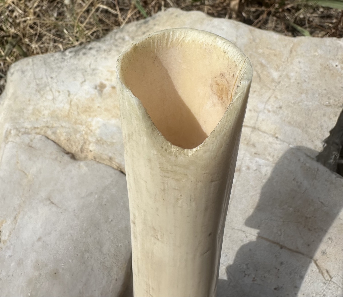 Carved African Elephant Tusk – Central Africa, Circa 1920–1930 – 33 Cm-photo-5