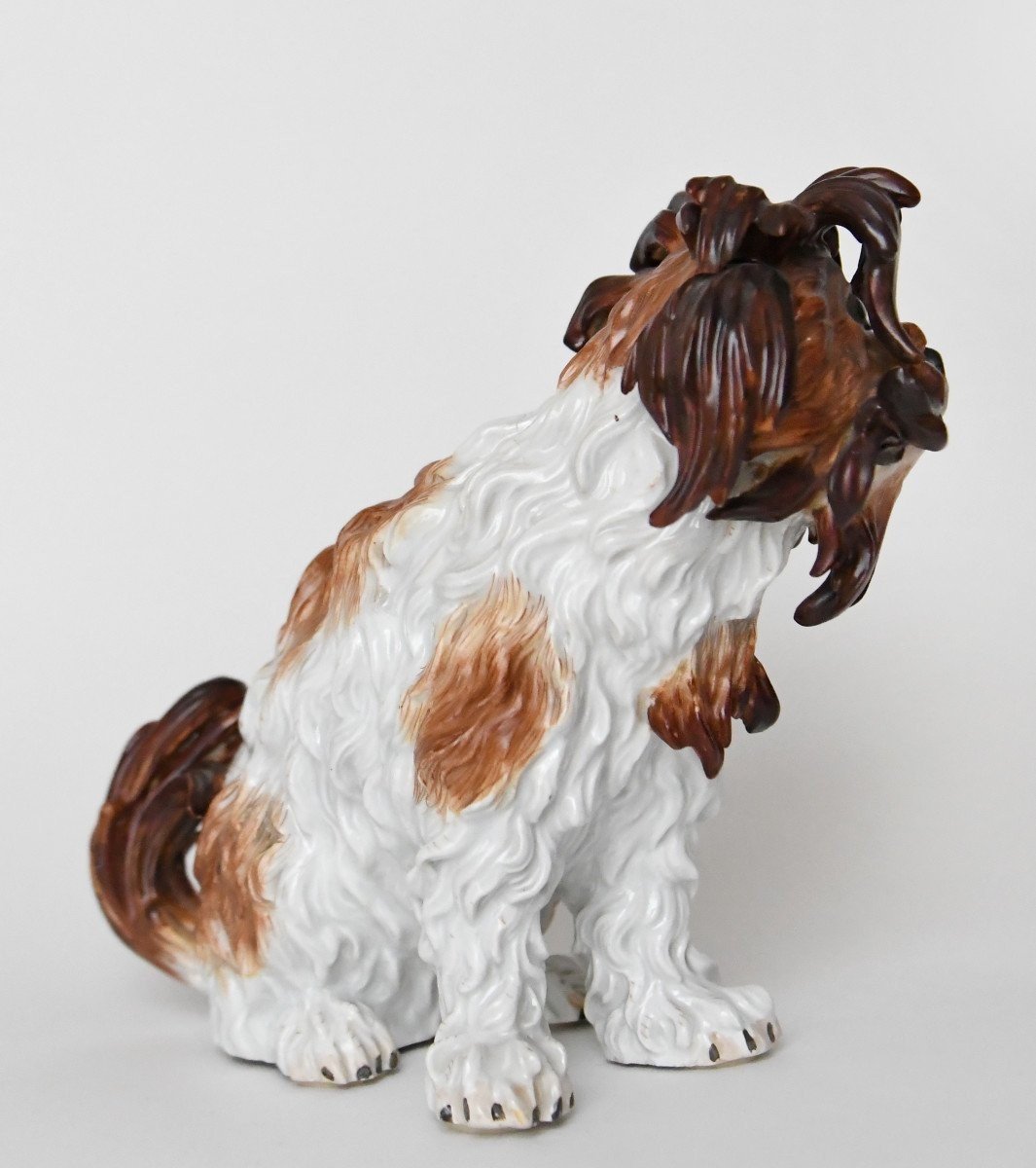 Statuette en porcelaine de Meissen représentant un chien Bichon Bolonais, Modèle 2880 -photo-4