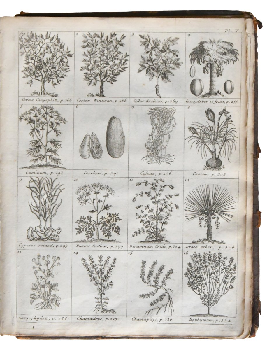  Nicolas LEMERY "Traité Universel des Drogues simples" Chez Laurent d’Houry, 1714; in-4-photo-4
