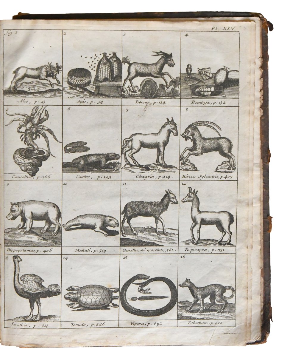  Nicolas LEMERY "Traité Universel des Drogues simples" Chez Laurent d’Houry, 1714; in-4-photo-5