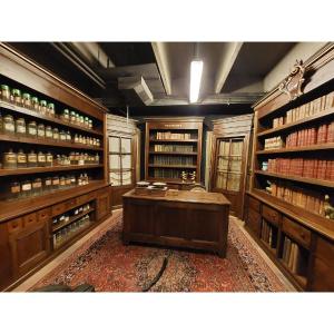Antique Walnut Pharmacy Shop Furniture, 3 Pieces Of Furniture + Counter + 2 Doors, 19th Century