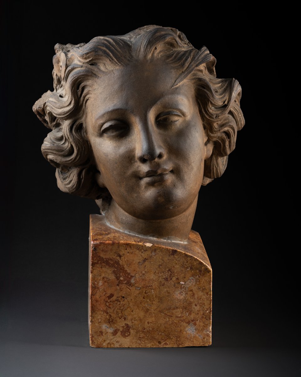 Head Of A Woman With A Laurel Wreath-photo-1