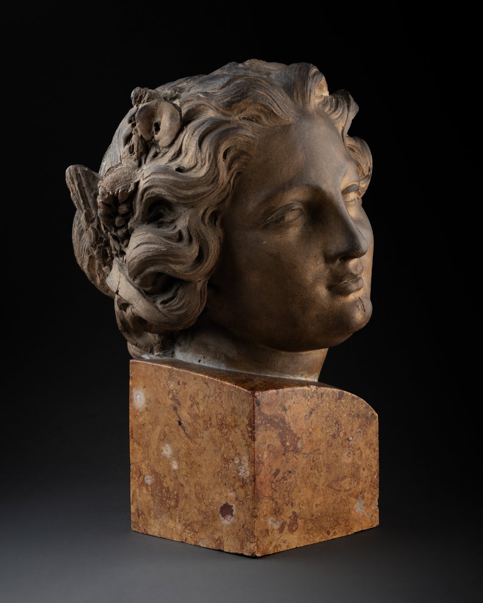 Head Of A Woman With A Laurel Wreath-photo-2