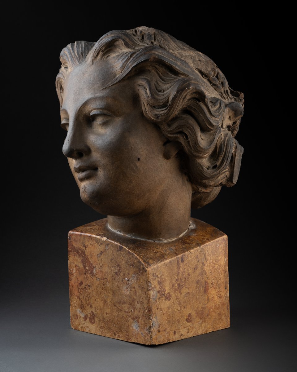 Head Of A Woman With A Laurel Wreath