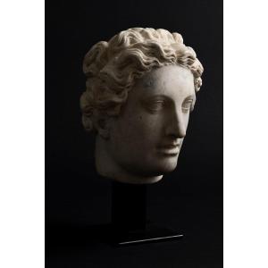 Entourage Of Bartolomeo Ammannati - Mannerist Woman's Head In Marble