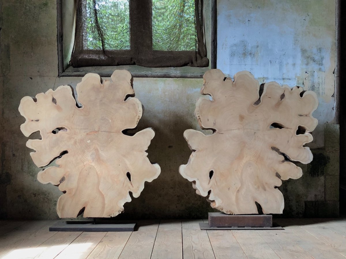 Plant Sculpture