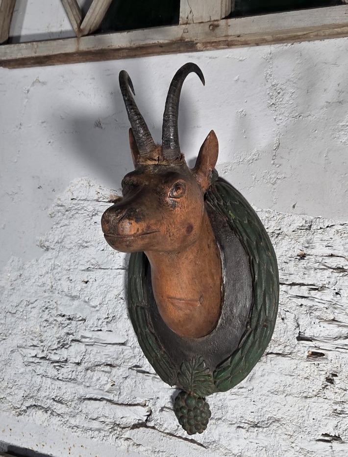 trophée de chamois en bois sculté-photo-3