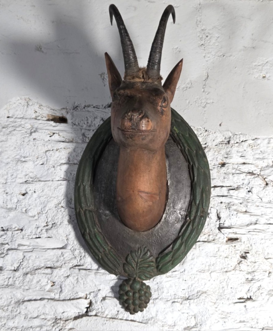 trophée de chamois en bois sculté