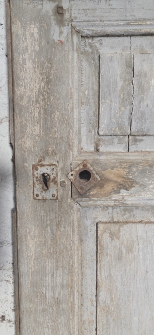 porte double en resineux-photo-3