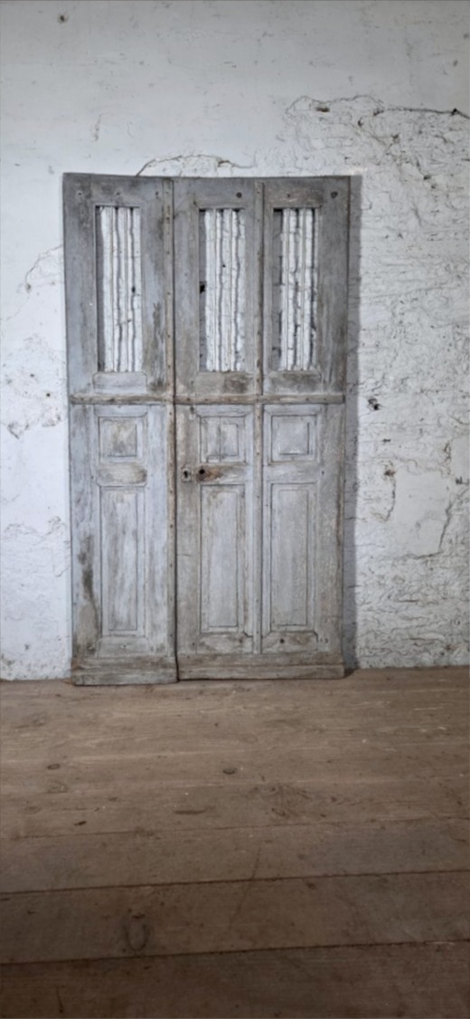 porte double en resineux