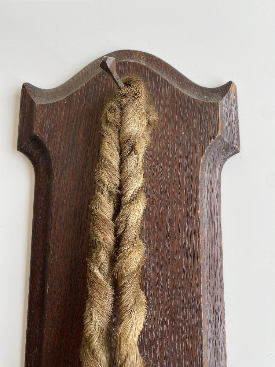 19 Th Deer Leg Hunting Trophy-photo-3