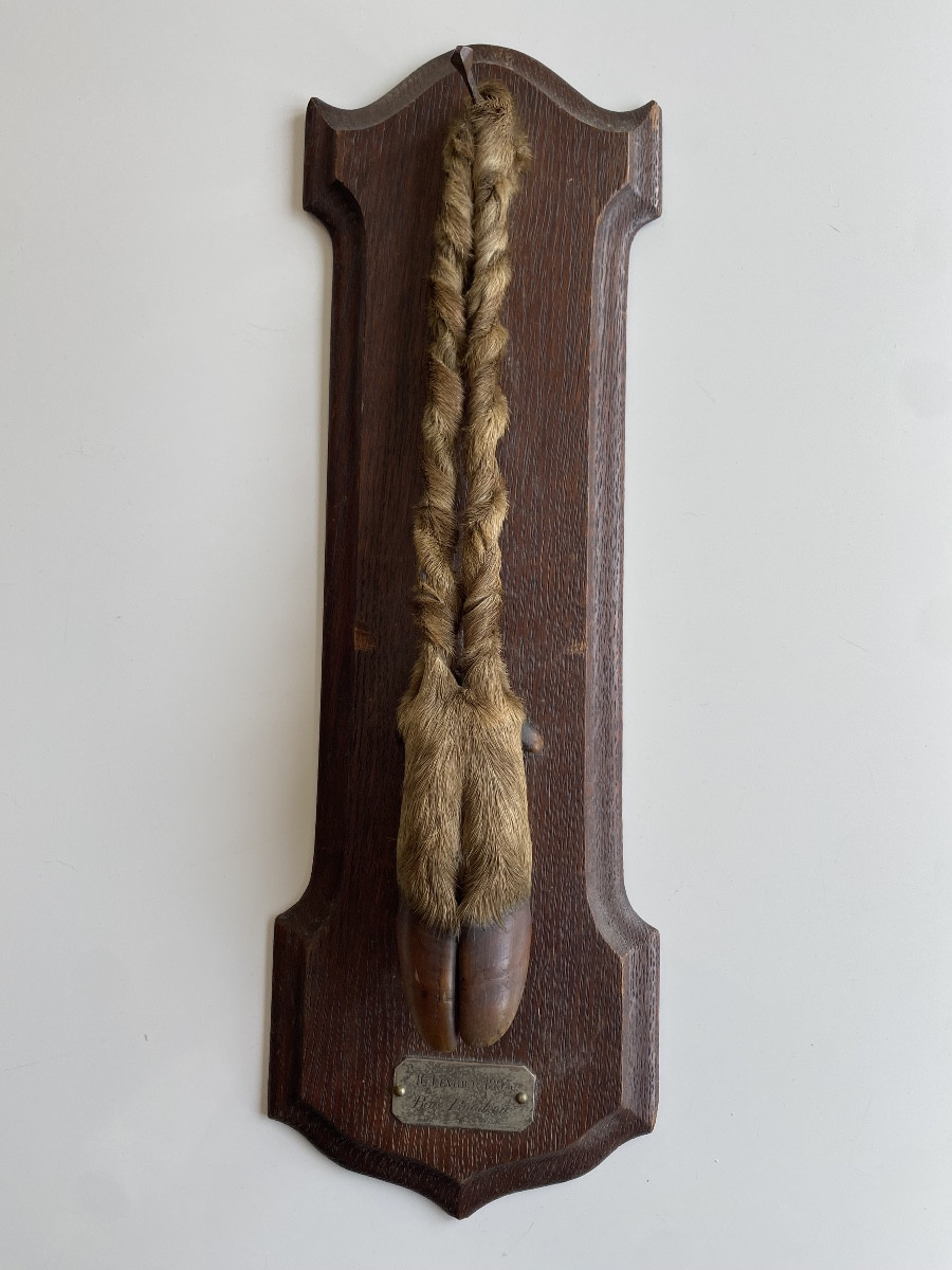 19 Th Deer Leg Hunting Trophy