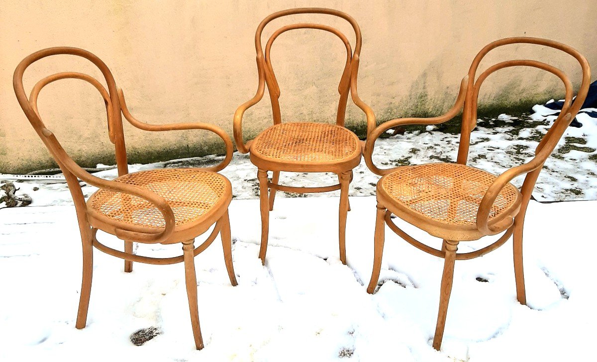 Série De Fauteuils Thonet Art Nouveau