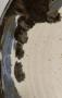 1814975-6a96d97ecd763.jpg
