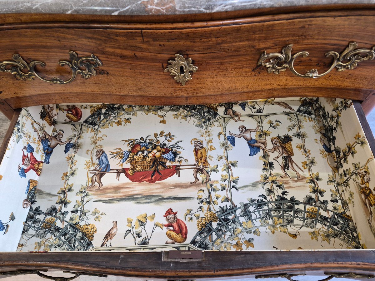 Louis XV-era Chest Of Drawers With A Hopping Design-photo-5