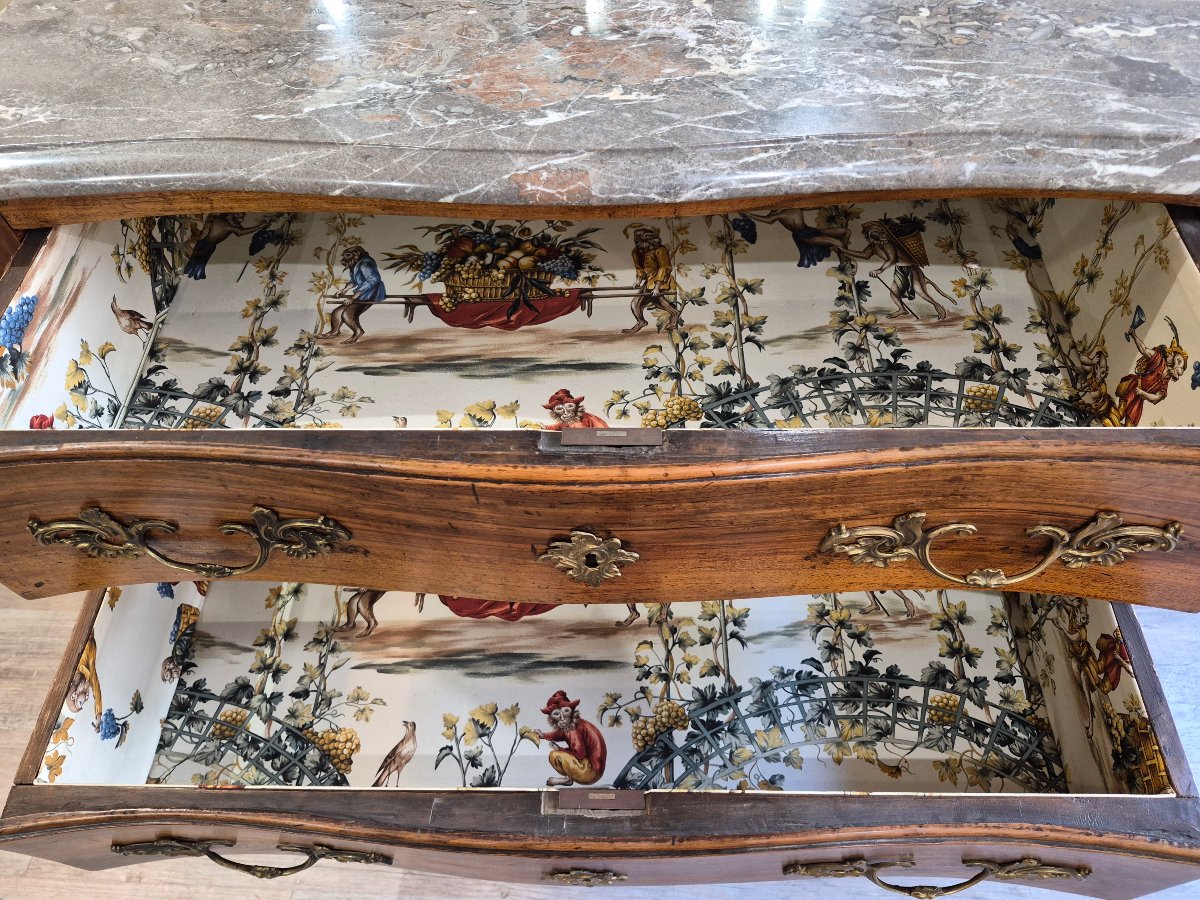 Louis XV-era Chest Of Drawers With A Hopping Design-photo-8