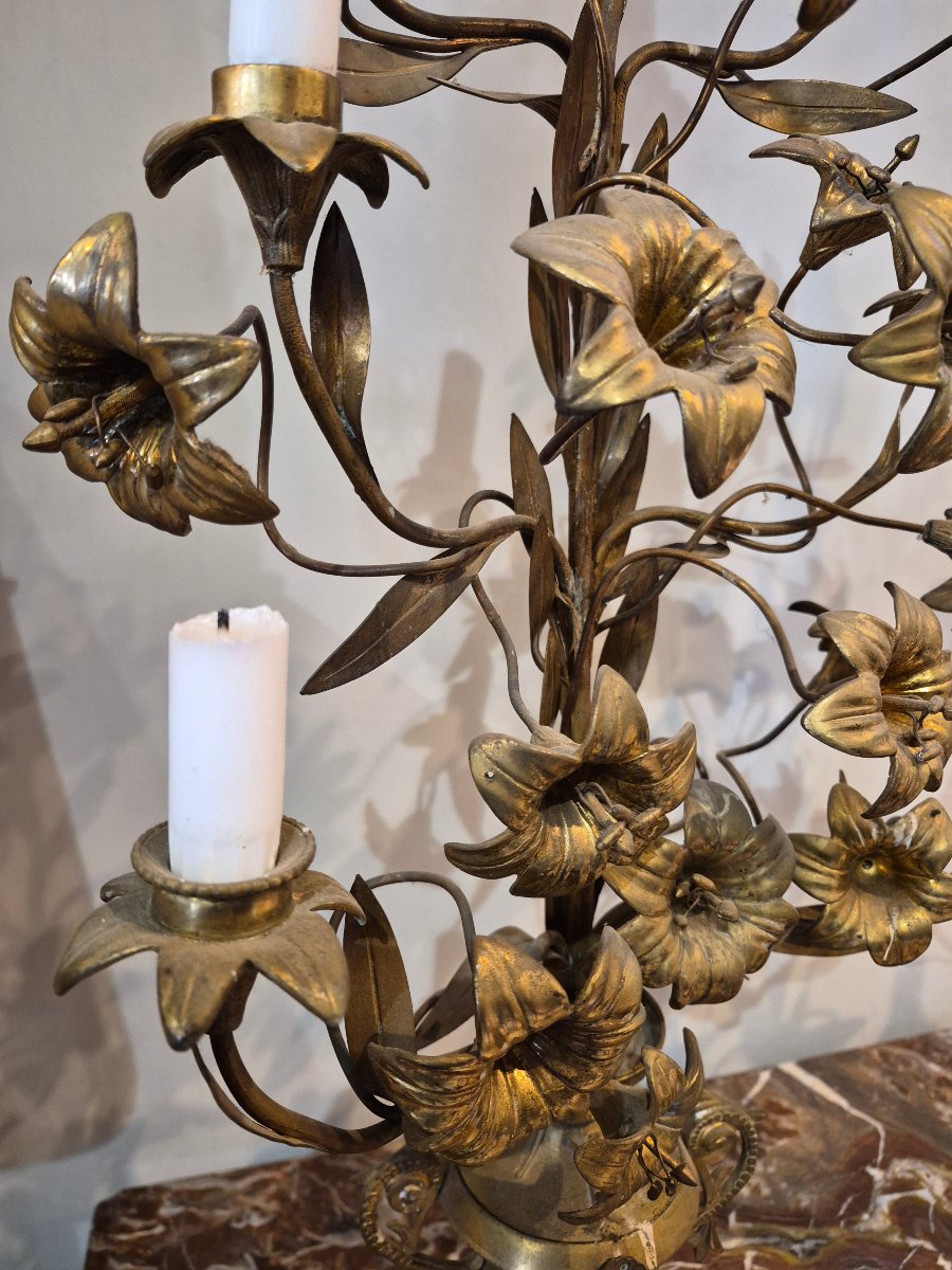 Pair Of Torches-photo-2