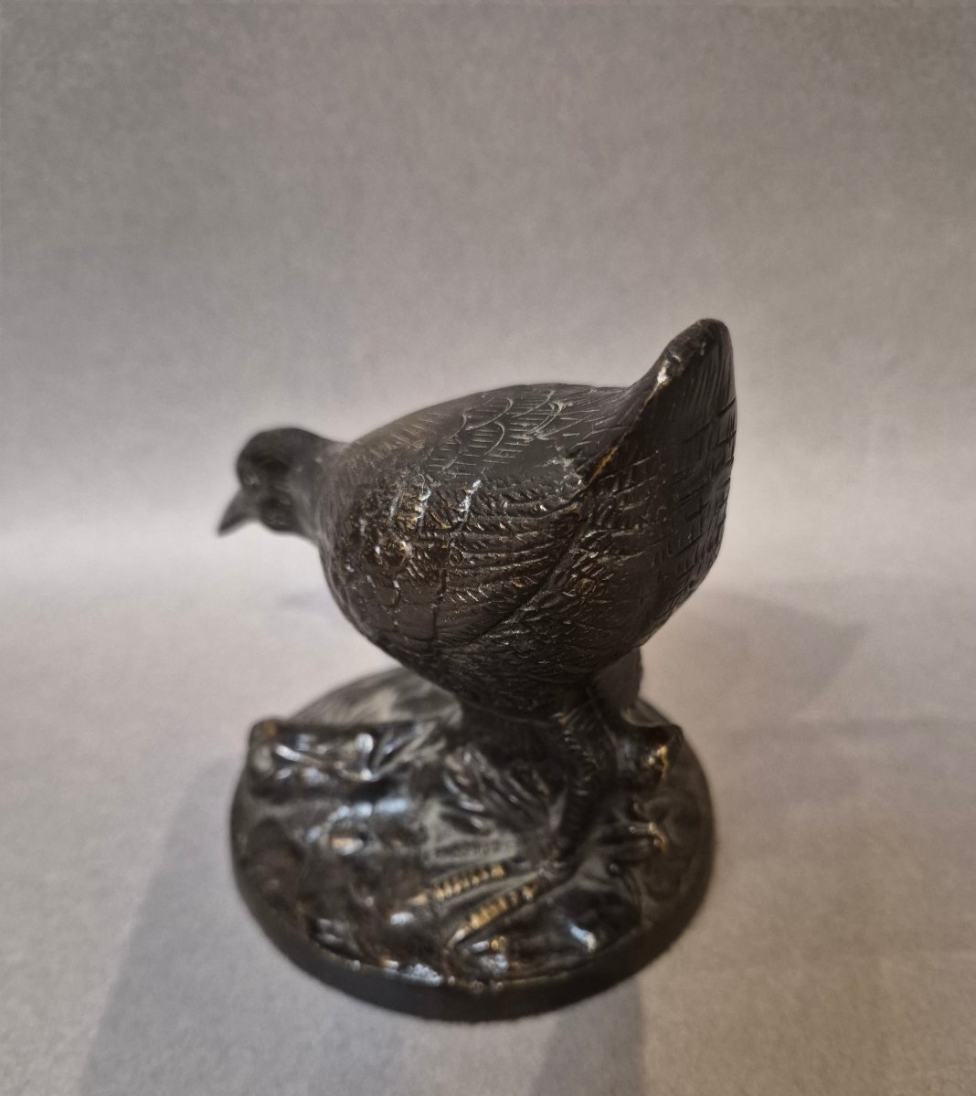 Bronze Quail -photo-2