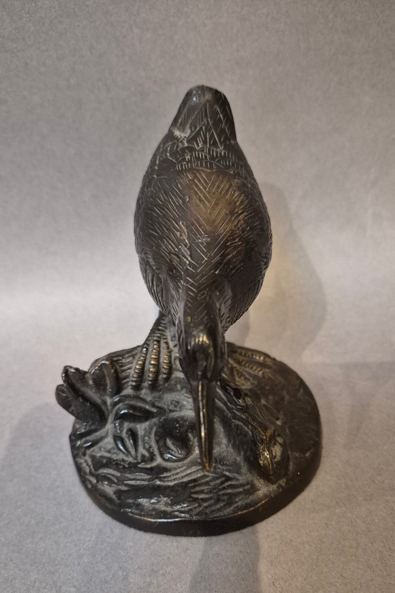 Bronze Quail -photo-3