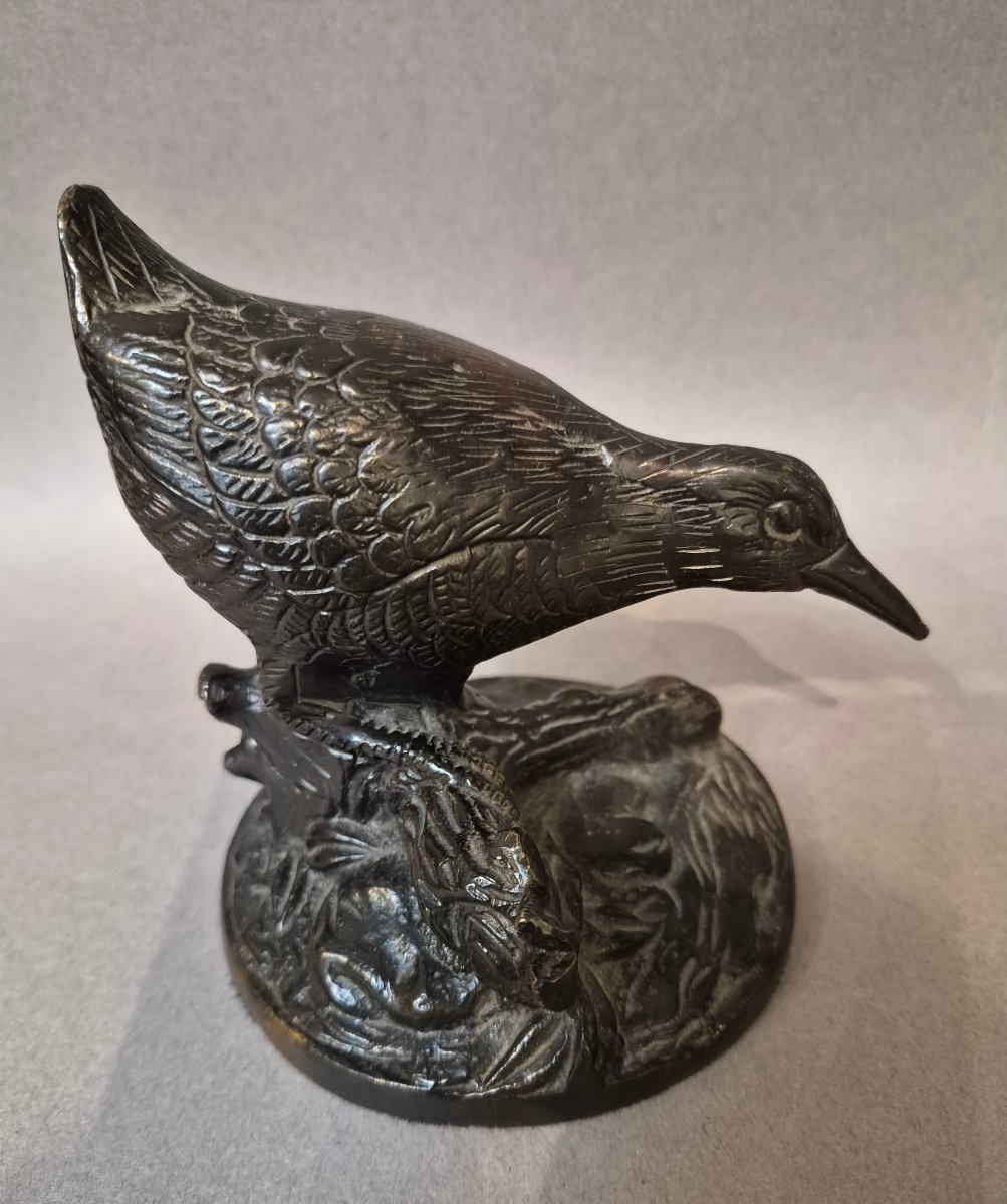 Bronze Quail -photo-4