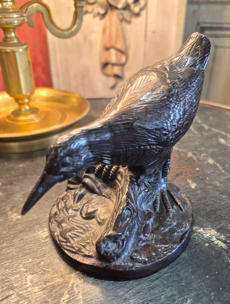Bronze Quail -photo-1