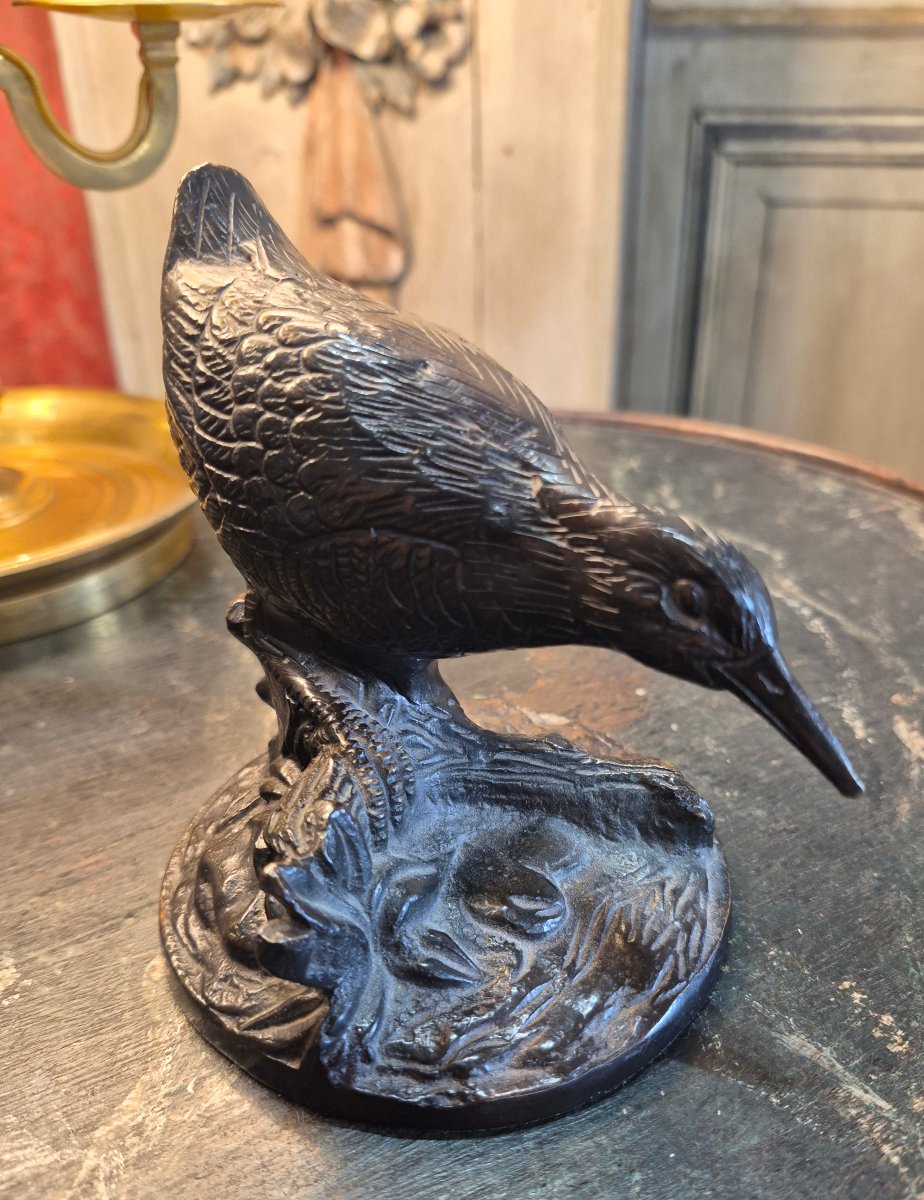 Bronze Quail -photo-2
