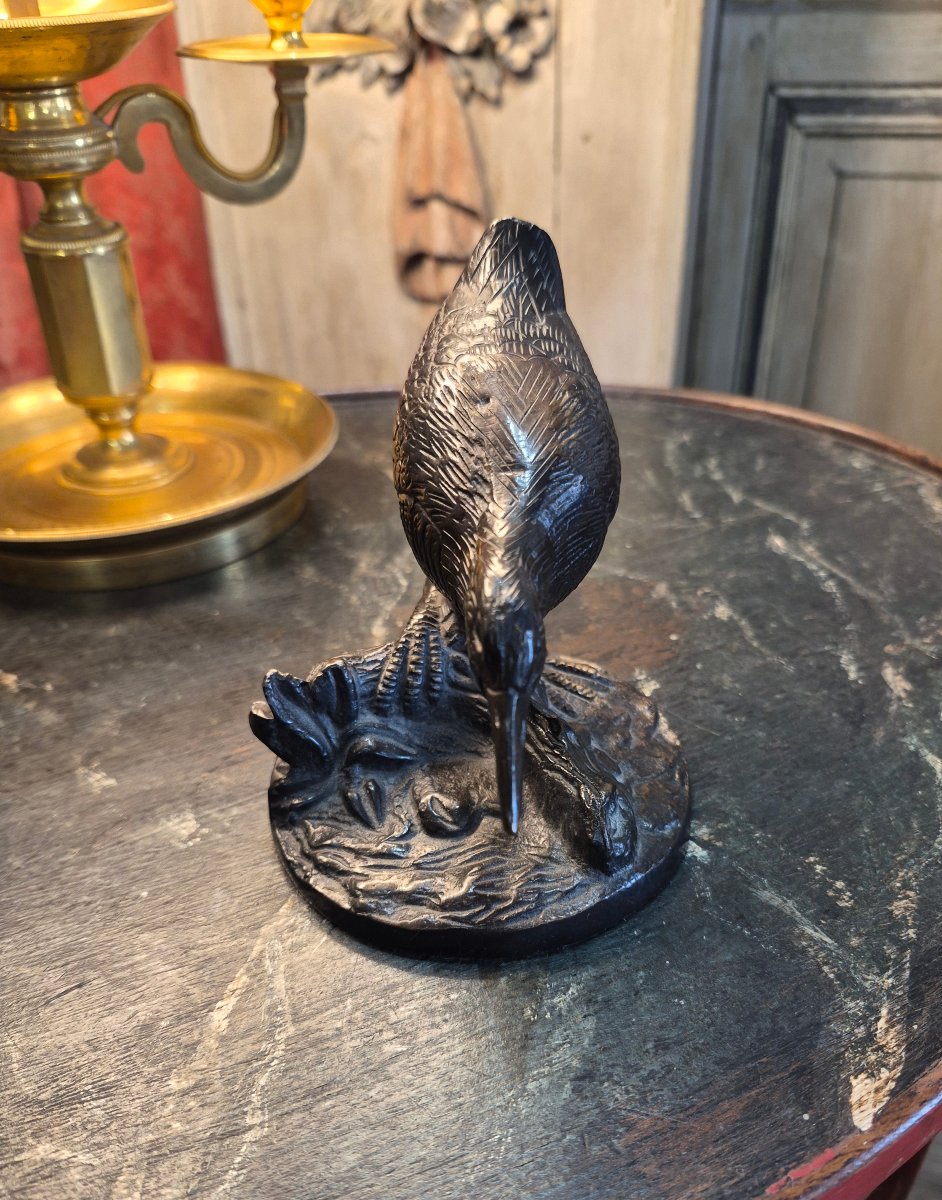 Bronze Quail -photo-4