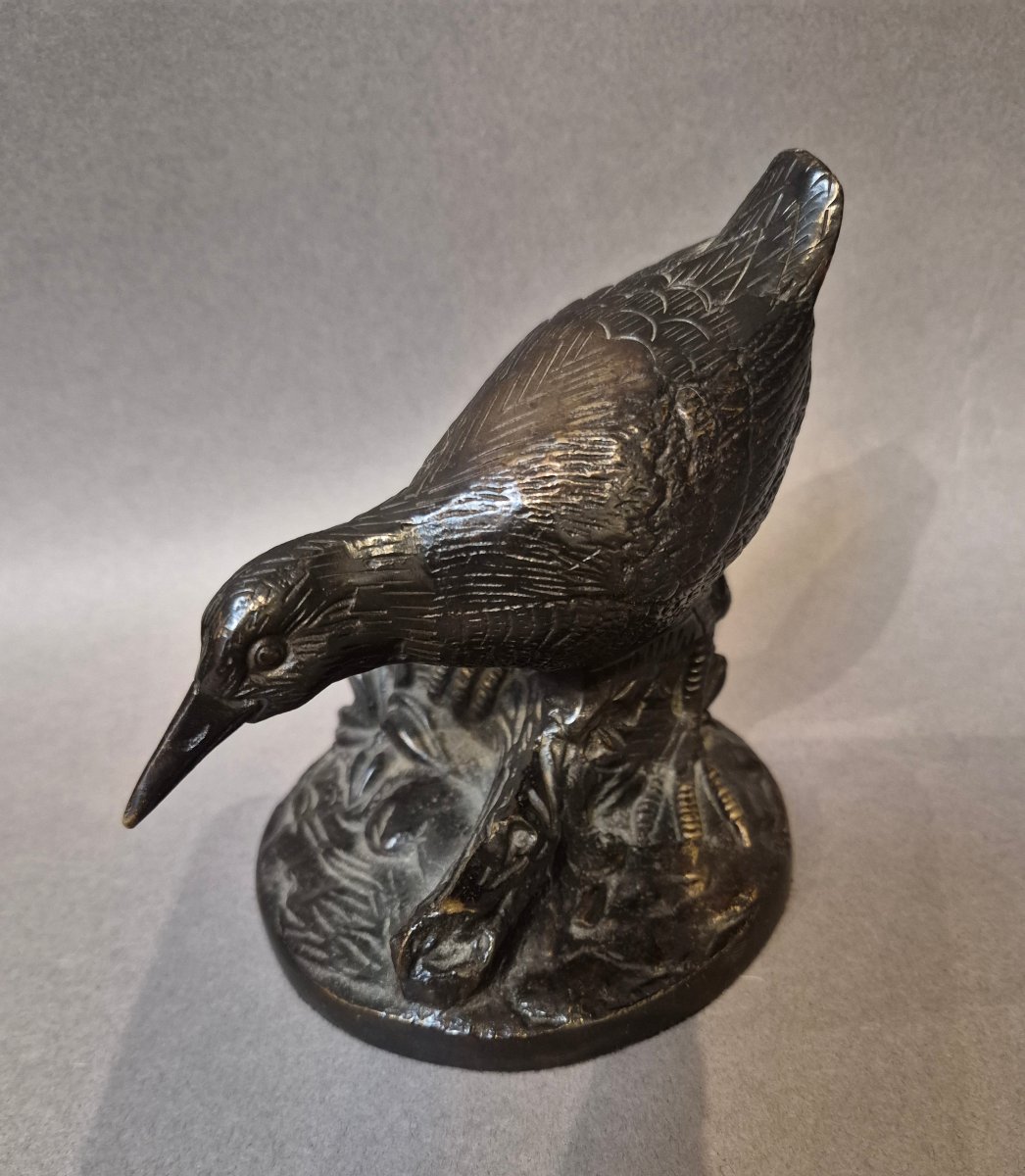 Bronze Quail 