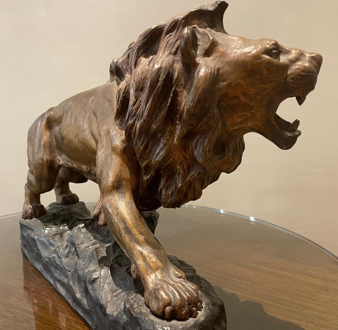 Lion rugissant / JB DESCOMPS