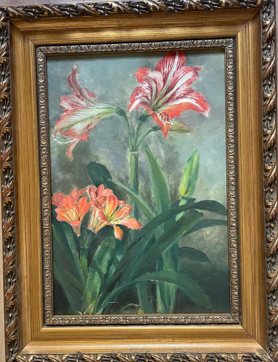 Les Amaryllis / 1930