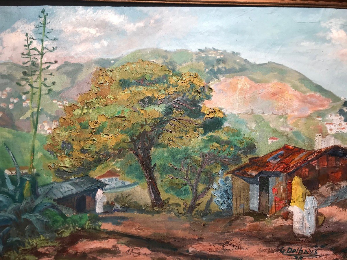 Paysage d'Algérie / Georges Delbays