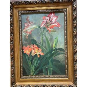 Les Amaryllis / 1930