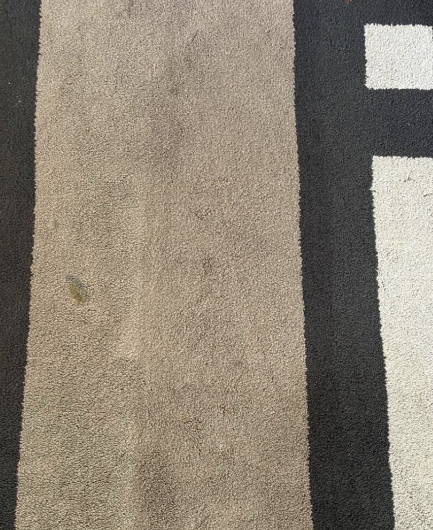 Toulemonde Rug, Romanex By Boussac, 1980-photo-4