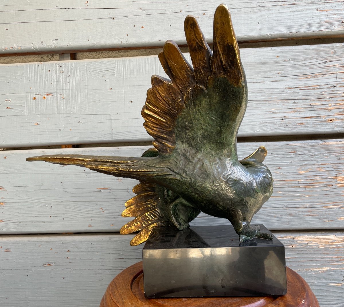 Bronze Cockatoo.-photo-5