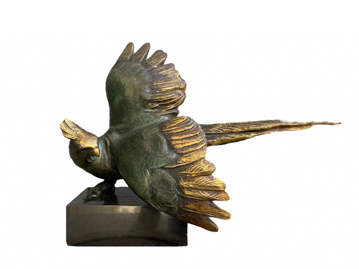 Bronze Cockatoo.
