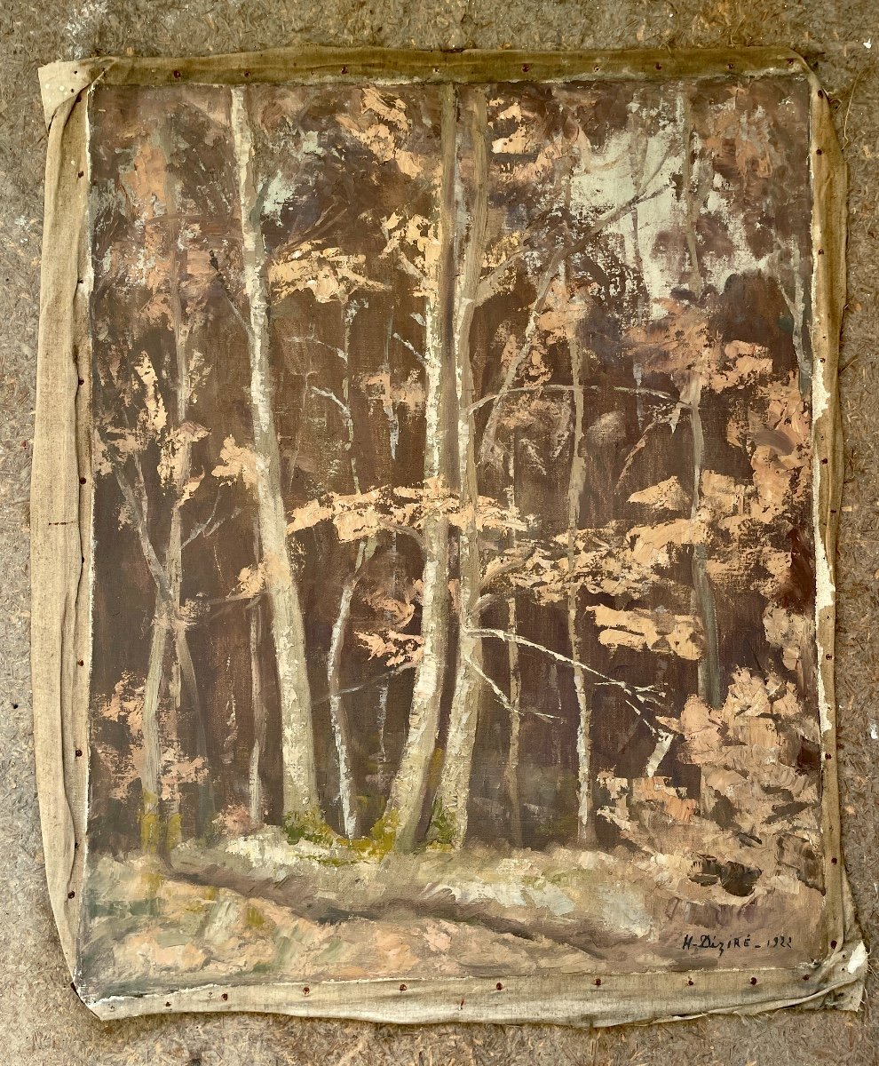Henry Déziré - Autumn Forest.-photo-1
